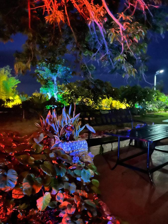 La Plumerias Moalboal Exteriör bild
