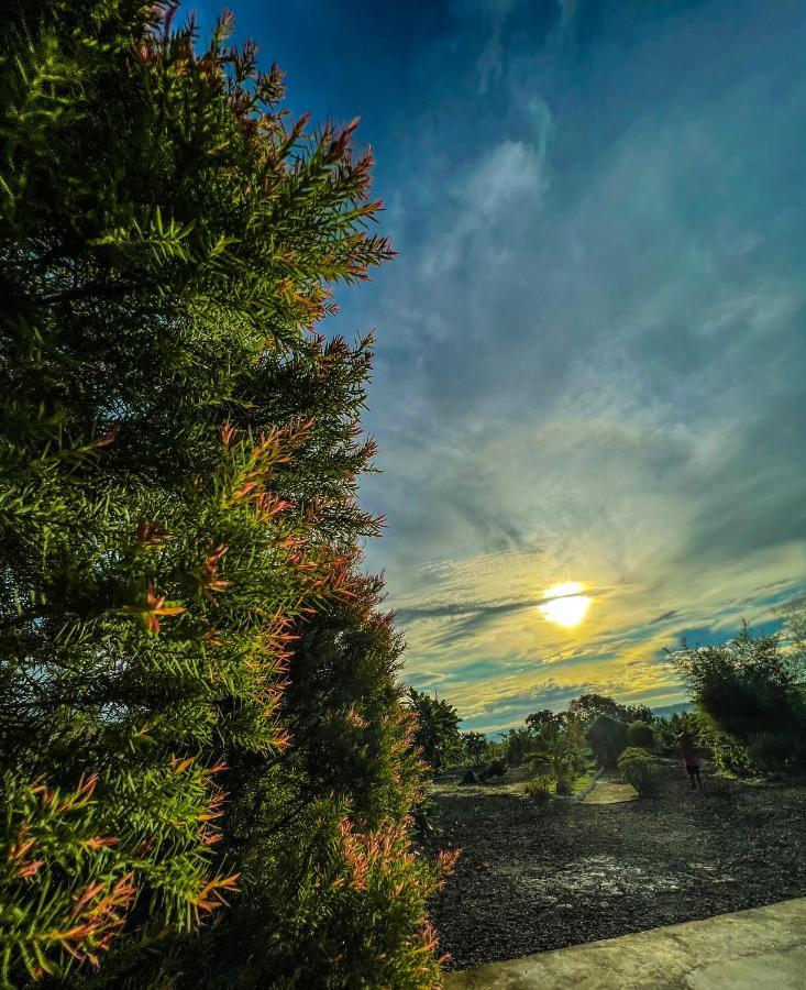 La Plumerias Moalboal Exteriör bild