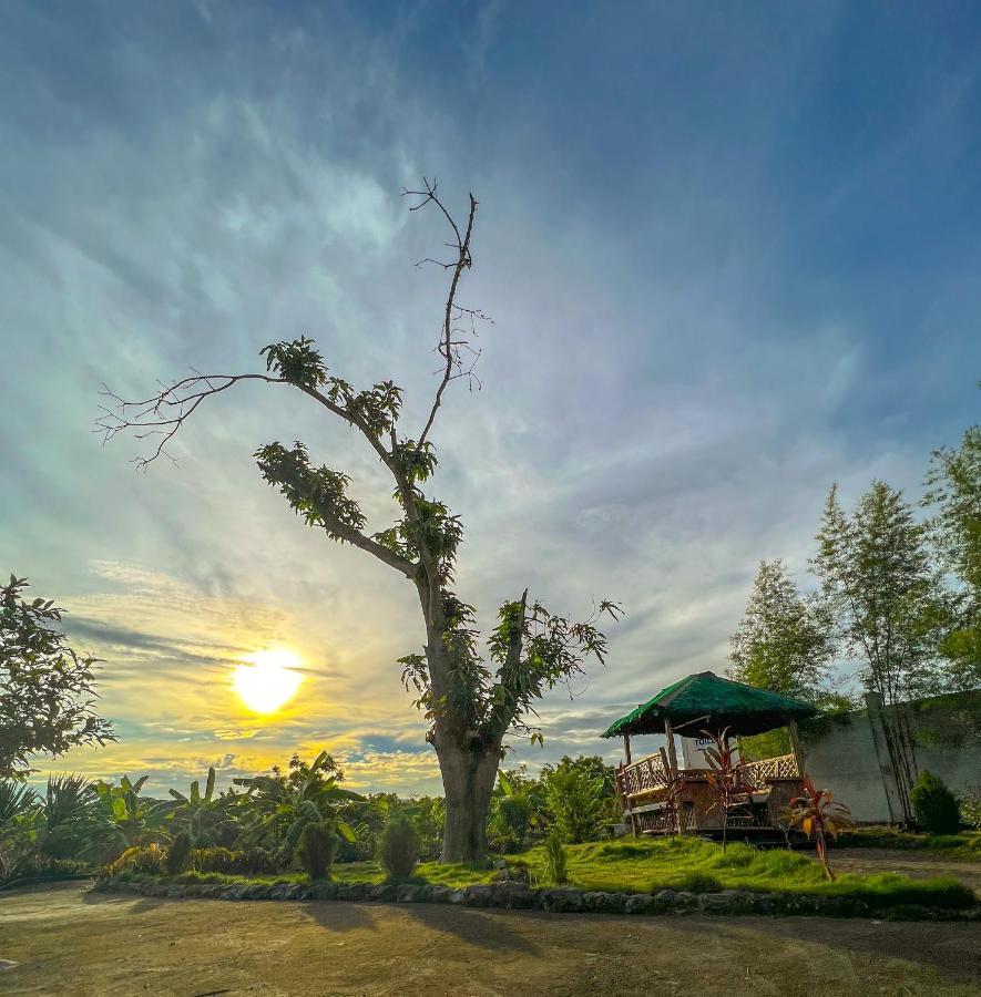 La Plumerias Moalboal Exteriör bild