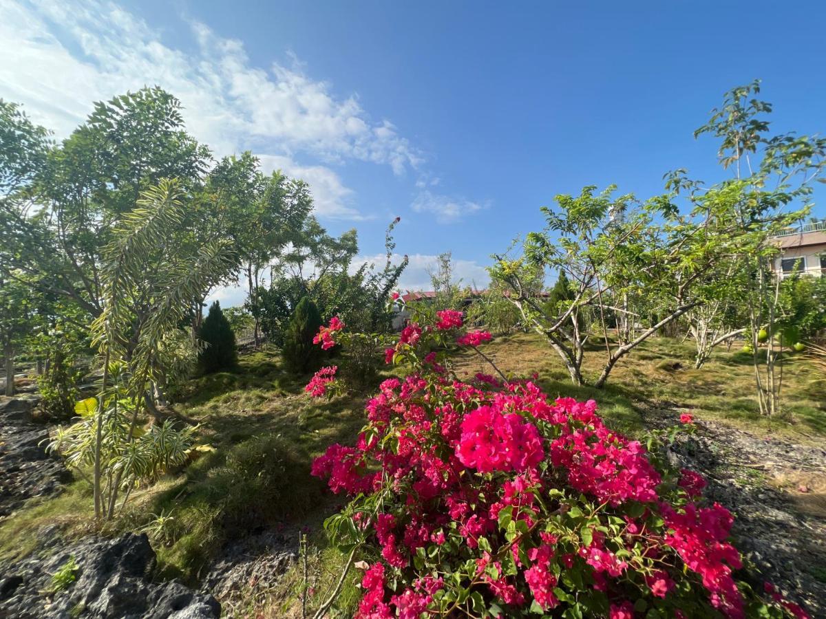 La Plumerias Moalboal Exteriör bild
