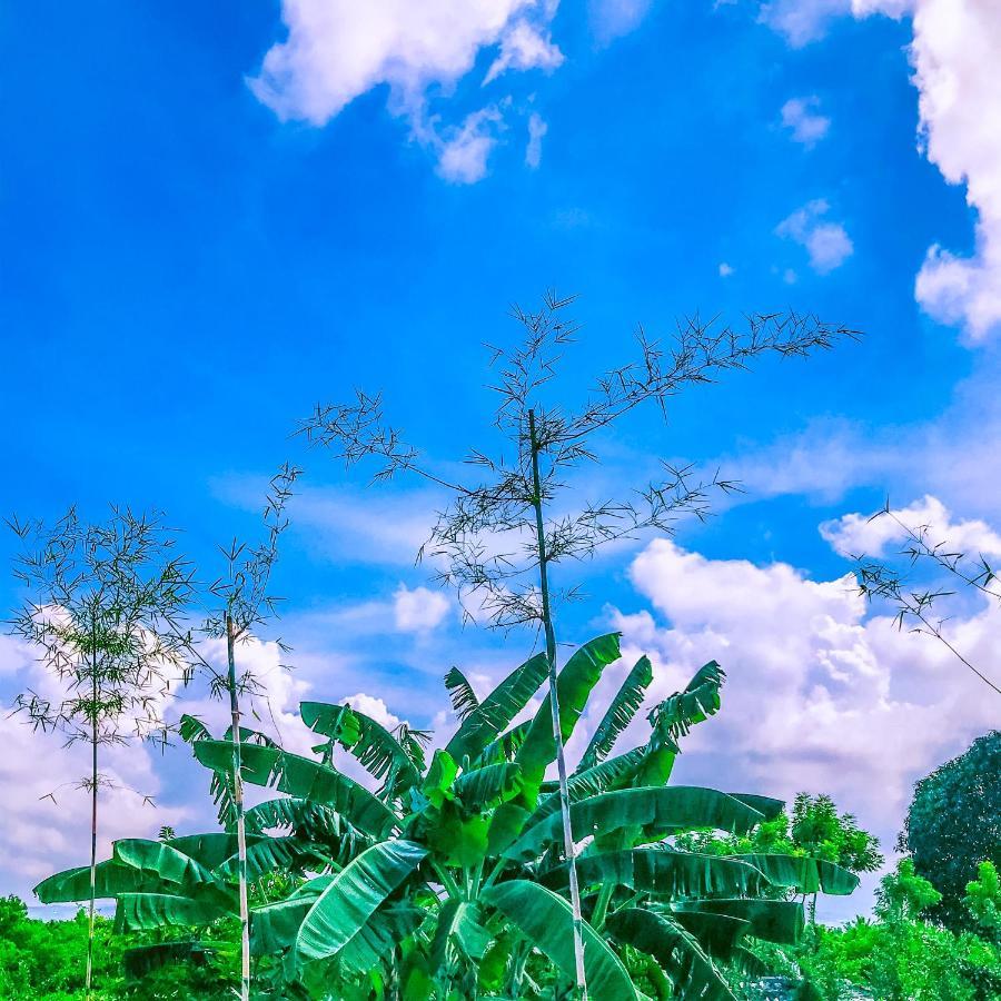La Plumerias Moalboal Exteriör bild